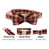 Elegant little tail Dog Collar with Bow, Bowtie Dog Collar,