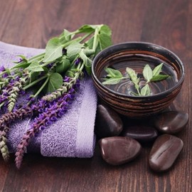 Seeds4planting - Seeds Garden Sage (Salvia Officinalis) Medicinal Herbs Perennial Heirloom Non GMO for Planting