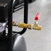ERGAOBOY 2 x 1/2 inch BSP male thread on brass