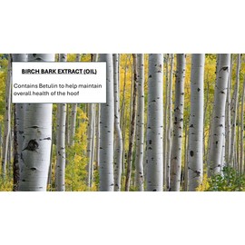 Fence Rider Hoof Oil Spray, Premium Blend of Natural Oils and Nutrients to Balance Hoof Moisture, While Working to Correct Cracks and Counteract Rot. 16 oz Ready to Use (Twin Pack)