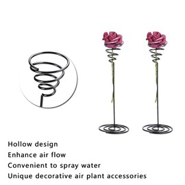 Beufee 10 Pieces Air Plant Stand Holder, Tillandsia Holder Air Plant Container Black Stainless Steel Plant Display Racks Desk Plant Stand Air Plant Container for Small Air Plant