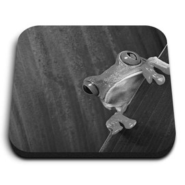 1 x Square MDF Fridge Magnet - Frog Nature Frogs 39477