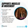 Kinesio Tape - Pre-Cut Back Support - Optimized Athletic Tape