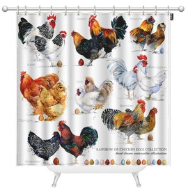 Mugod Chicken Breed Collection Shower Curtains Hand Drawn Watercolor Farm Hen Rooster Decorative Bathroom Waterproof Fabric Shower Curtain with 12 Hooks 72 x 72 Inches