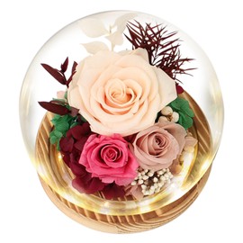 Preserved Flowers Roses Gifts for Women Mom, Fresh Flowers Forever Roses with Long-Lasting, Forever Flowers Flower Bouquets with LED Lights, Birthday Gift, Mothers Day, Christmas