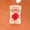 Birthday Anniversary Gift for Mother's Day Women Red Rose (Mini)