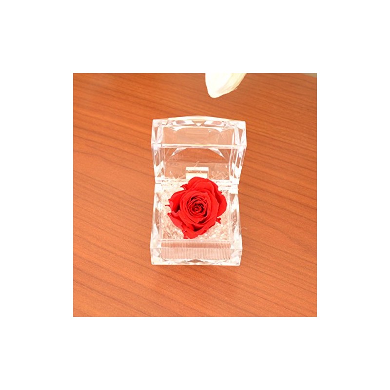 Birthday Anniversary Gift for Mother's Day Women Red Rose (Mini)