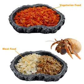 2 Pack Shallow Reptile Food Bowls, Reptile Feeding Terrarium Bowls for Bearded Dragon Lizard Frog Gecko Tortoise Hermit Crab Snail (Black)