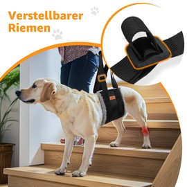 Adjustable Dog Carrier - Portable Rehabilitation Strap for Disabled, Injured or Elderly Dogs - Dog Harness as Walking Aid for Small and Large Dogs