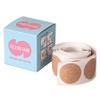 Cosrina Premium Nipple Bands, 100 Pieces / 코스리나 프리미엄 니플 밴드, 100개