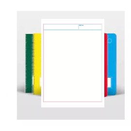 CUACK 10 Cuadernos Profesional Cuack 100 Hojas Blanco Envió Gratis