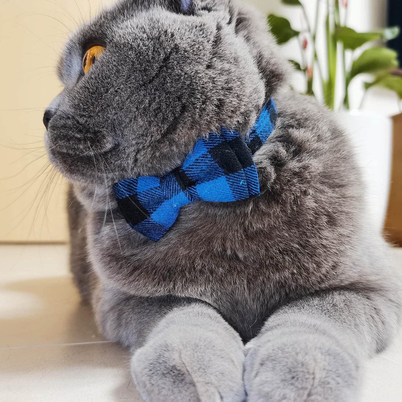 Cat Collar Breakaway with Bell and Bow Tie, Plaid Design