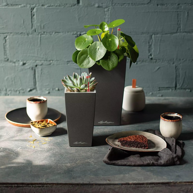 Lechuza “MA x I-Cube” Table Planter with Sub-irrigation System, Single