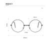 Frogsnout Date Glasses, Silver Rim, 2.1 inches (53 mm), No