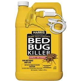 Bed Bug Killer Gal
