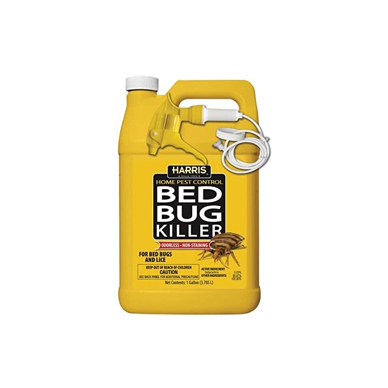 Bed Bug Killer Gal