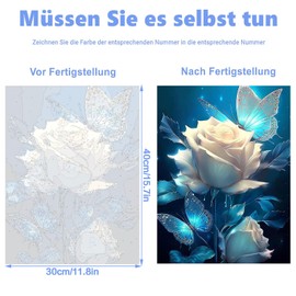 Pujeknm Malen Nach Zahlen Erwachsene Blumen-DIY Rose Handgemalt Ölgemälde Kit für Anfänger,Mit 3-Pinseln und Acrylfarbe Handgemalt Schmetterling öLgemäLde Kit Als Geschenk 30x40cm(Rahmenlos)