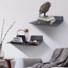 RealPlus Metal Floating Shelf Wall Mounted (12 inch x 8