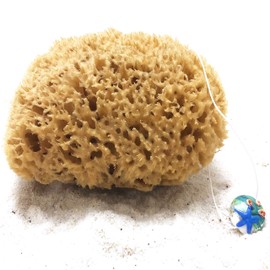 tom&pat Natural sponge with cord & glass pendant, unbleached bath sponge with exfoliating effect, directly from the Mediterranean sea, plastic free packaging, sea sponge ideal for baby bath (15-16 cm)