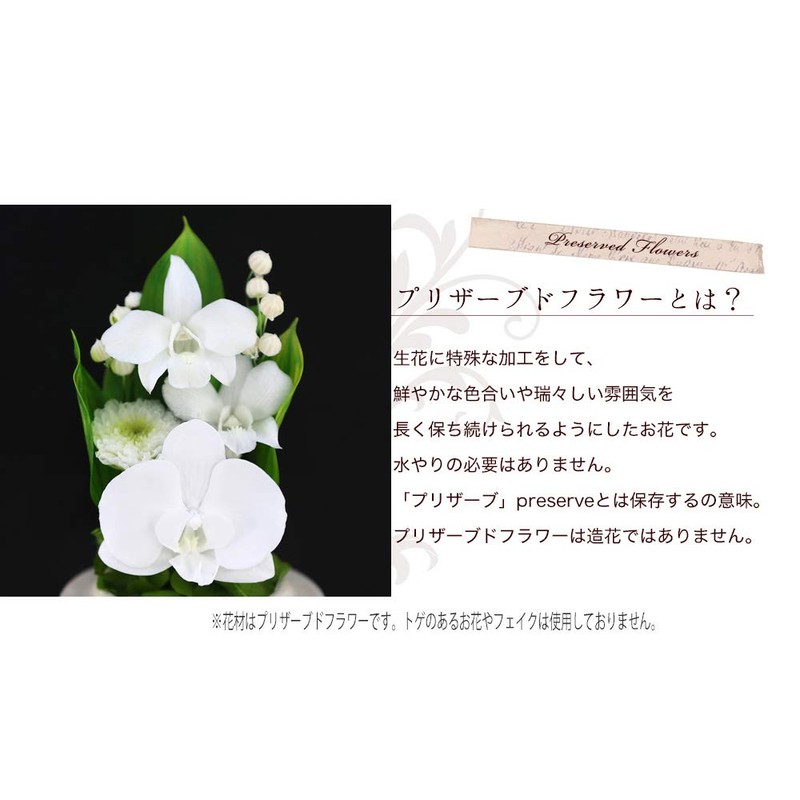 Art Four Seasons Buddha Flower (White) Mini Phalaenopsis Mini Glass