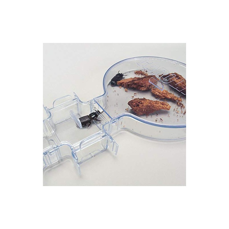 Carolina Large Choice Chamber Kit