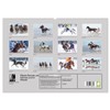 Horse Racing on Snow and in Water (Wall Calendar 2026