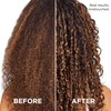 L'Oreal Paris Shampoo, Sulfate Free, Triple Action Hydration for Dry