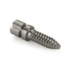 WOODRIVER Woodworm Screw