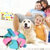 Interactive Outdoor Fly Ball Flying Saucer Ball Interesting Dog Soccer