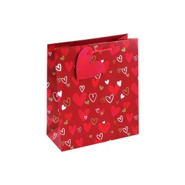 Eurowrap Valentines Day Heart Red Paper Gift Bag Love Special with Heart Gift Tag Medium