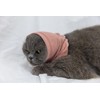 DDFS Cat Ear Wrap (2 Pack), Keep Calm Head Cover