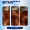 Clairol Nice'n Easy Permanent Hair Dye, 5R Medium Auburn Hair
