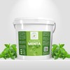 Productos Mart Mexico Gel Conductor De Menta Aparatologia Productos Mart