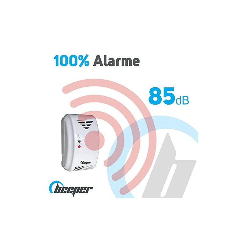 BEEPER DET-GN101 Natural and Sleepering Gas Detector (Black)