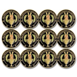 SHOP AWARDS AND GIFTS Outstanding Volunteer Enamel Lapel Pins Thank You Reward Recognition Award Appreciation Gifts, Bulk Pack of 12, Poly Bagged, 3/4 Inch