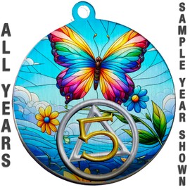 9 Years Recovery Coin, AA Alcoholics Anonymous Chip, Butterfly Sobriety Chip