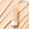 Dutree 듀이트리 어반쉐이드 커버앤핏 파데프리 선크림 40ml 2개 Dewytree Urban