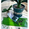 EESC2Y 10-PCs 15-3/4" Plastic Coated Orchid Stakes for Plants Support,