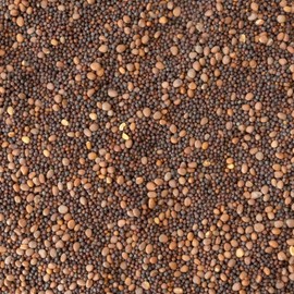 3 Brassica Classic Trio Cover Crop 1 Lb ~4,356 Seeds – Radish, Rapeseed, Turnip—Soil Conditioning & Weed Suppression—Non-GMO, Open-Pollinated, Winter-Killing Days