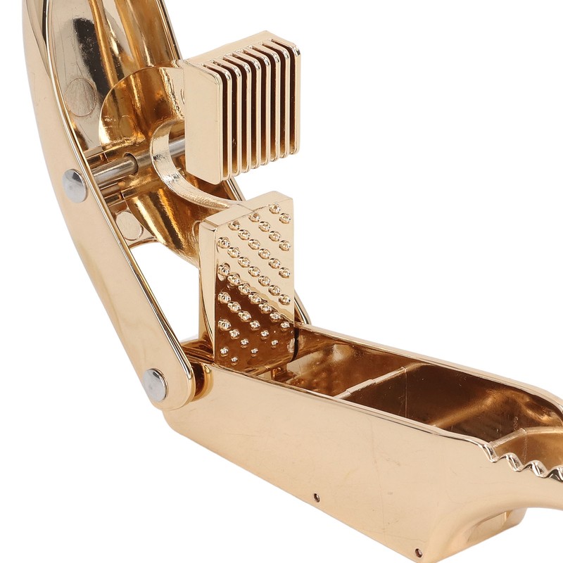 Garlic Press Gold Color Aluminium Alloy Dolphin Style Teeth Design