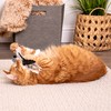SmartyKat Instincts HappyNip Zingy Zebra Feathered Toss & Chase Interactive