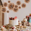 Tissue Paper Pom Poms, Brown Tissue Paper Flowers, Hanging Flower