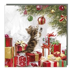 Tracks Christmas Cards 5 Pack Festive Playful Kitten – Rainbow Trust Charity Xmas Cards, White, Red, Green