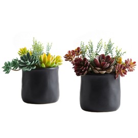 ASTRIDIA Artificial Succulents in Ceramic Pots 2 Pcs Large Fake Plants Matte Black Decor, for Desk, Bedroom, Living Room, Bathroom, Office, Bookshelf, Home Faux Decoration