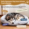 Petnanny Cranberry Supplement for Dogs - Urinary Tract Support