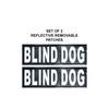 Doggie Stylz Blind Dog Harness No Pull No Escape Dog