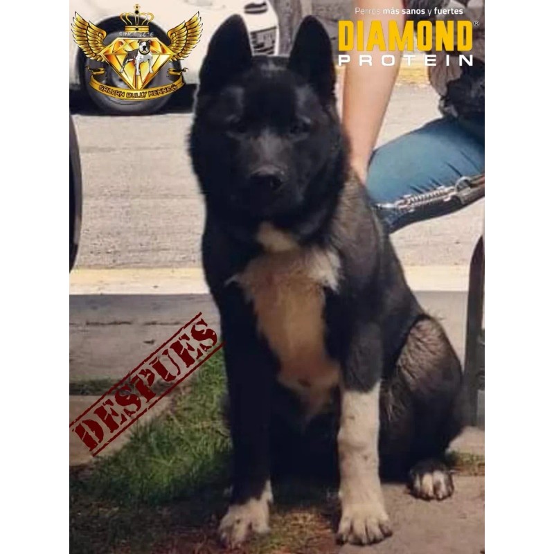 Proteina Para Perro Diamond Protein®