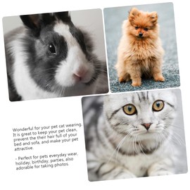 CIYODO Dog Sun Clothing for Pets Lightweight and Breathable Hoodie for Outdoor Activities for Dogs and Puppies