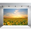 LFEEY 7x5ft Vinyl Sunflowers Field Backdrops for Photography Background Summer