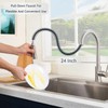 HOTIS Kitchen Sink Faucet Brushed Nickel with Pull Down Sprayer,